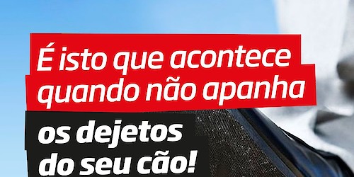 Vila Real Sto. António lança nova campanha para combater dejectos caninos