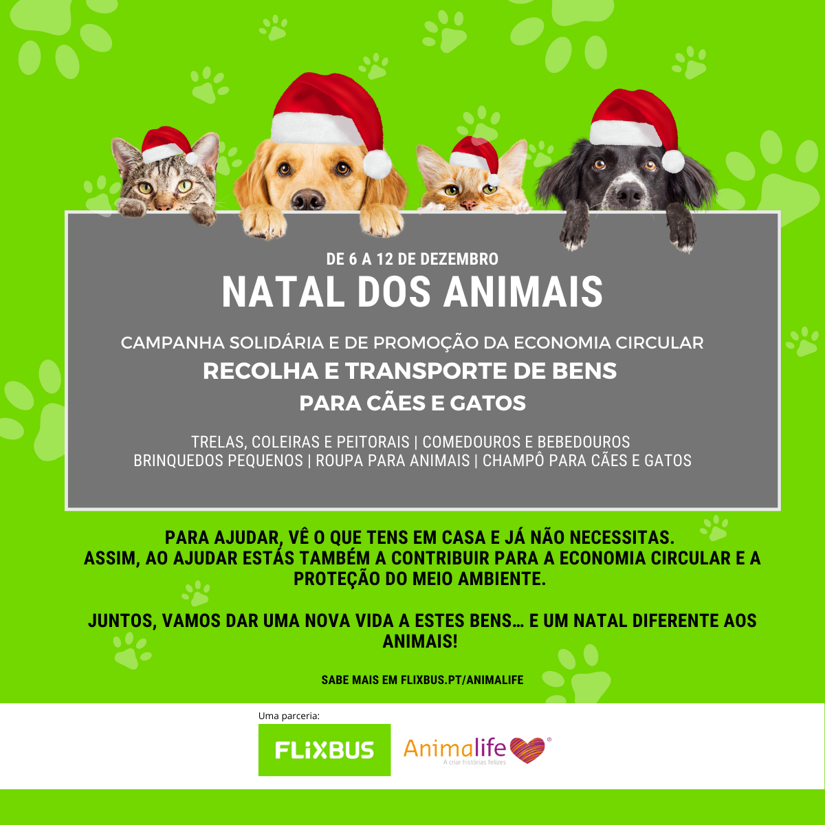 FlixBus promove economia circular em recolha solidária  para animais a favor da Animalife
